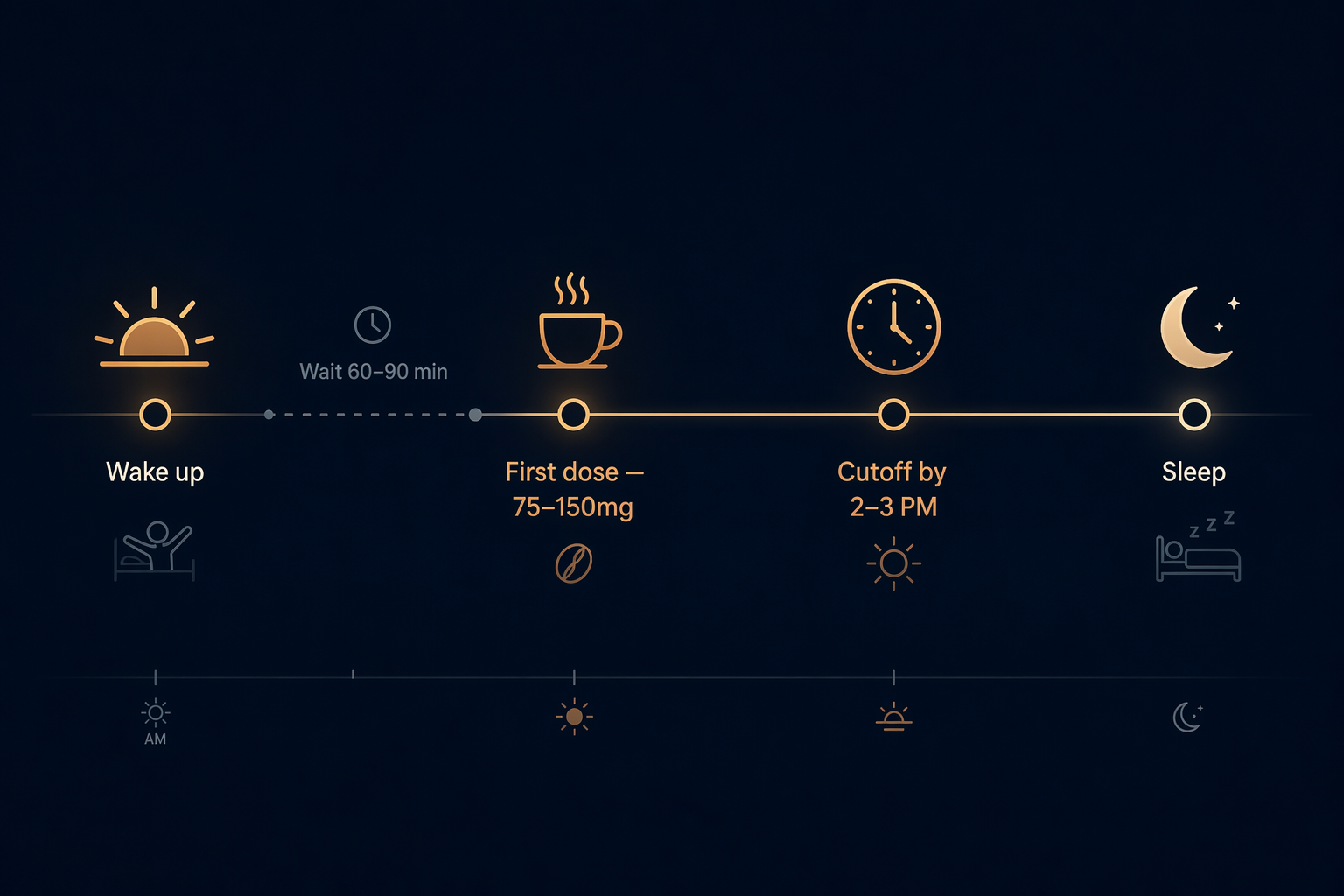 Timeline showing a 60 to 90 minute wait after waking, a moderate coffee dose, afternoon cutoff, and sleep