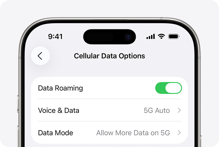 iPhone Cellular Data Options screen showing the Data Roaming toggle