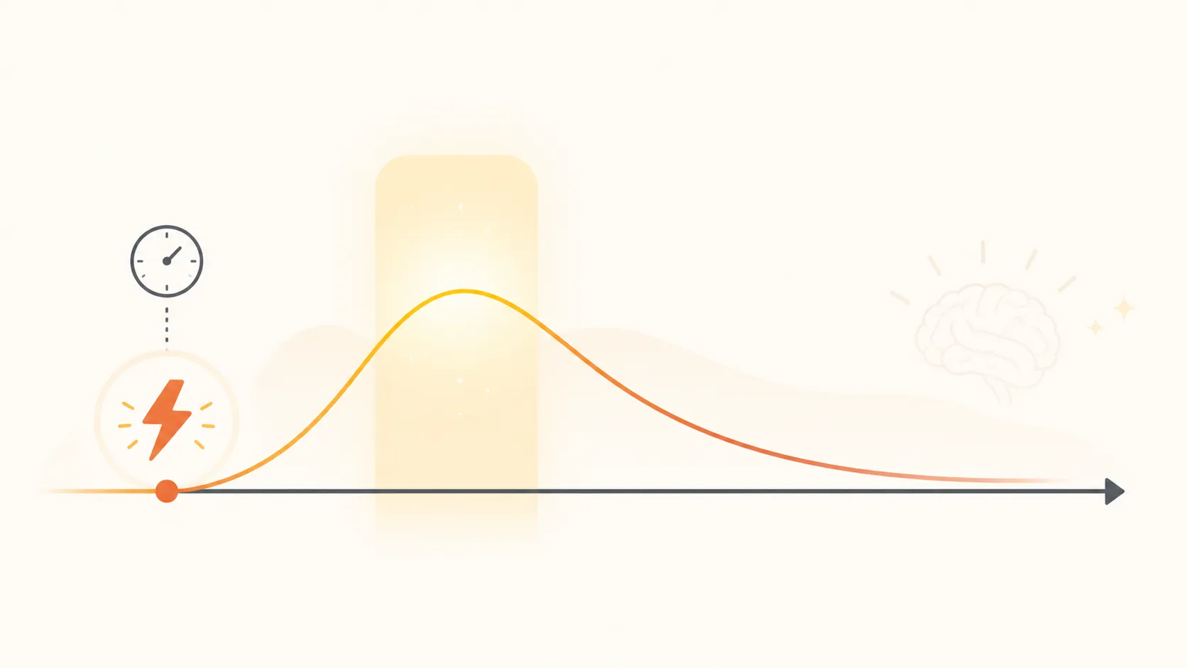 A simple timeline showing focus rising after a short exercise burst and then declining