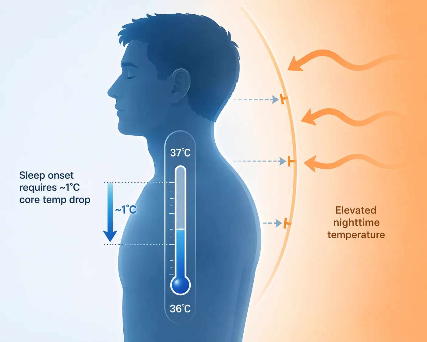 Diagram showing ambient heat blocking the core body temperature drop needed for sleep onset