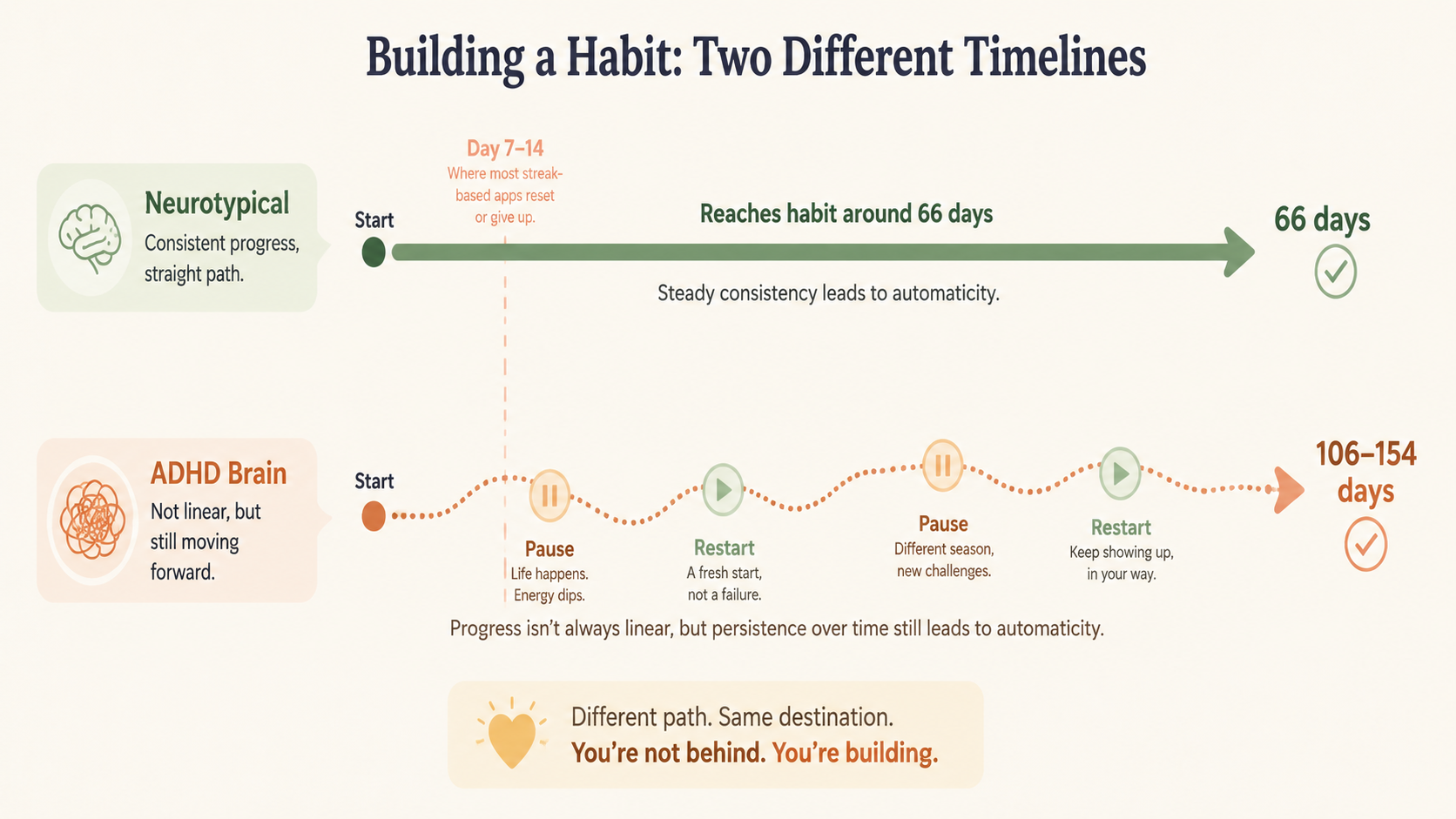 Timeline comparing neurotypical and ADHD habit formation timelines